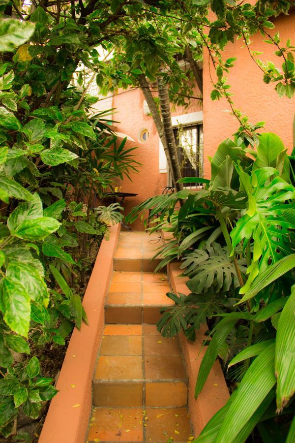 Raiz Hostel Medellín Exteriör bild
