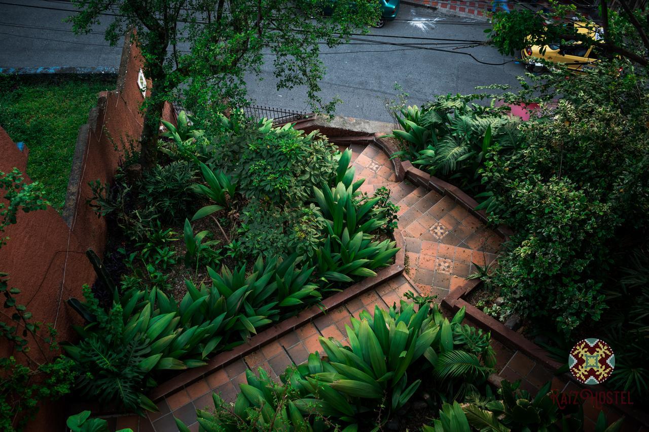 Raiz Hostel Medellín Exteriör bild